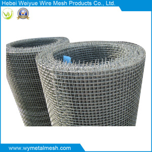 Crimped Square Wire Mesh Exporting